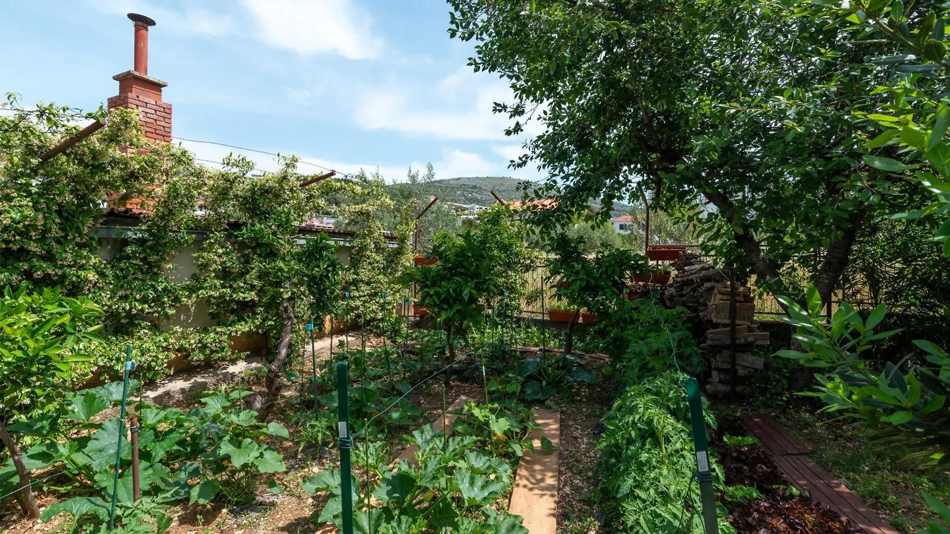 House Antonija, Relax By The Sea Apartment Seget Vranjica 0*,